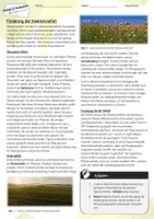 Vorschau - Arbeitsblätter - Förderung der Insektenvielfalt / Ökologie & Naturschutz - AB & Lösungen - Seite 1