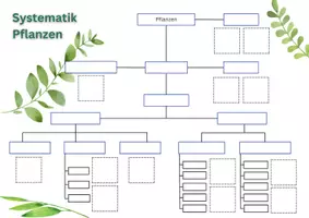 Vorschau - Arbeitsblätter - Systematik der Pflanzen - Seite 3