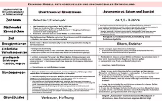 Vorschau - Text - Eriksons Modell psychosexueller und psychosozialer Entwicklung - Seite 1