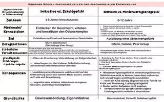 Vorschau - Text - Eriksons Modell psychosexueller und psychosozialer Entwicklung - Seite 2
