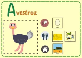 Vista previa - Unidades / Secuencias / Situaciones de Aprendizaje - Abecedario animales características - página 2
