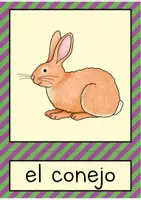 Vorschau - Stationenlernen - Mascotas / Haustiere Bildkarten (Spanisch) - Seite 3