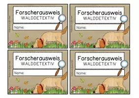 Vorschau - Arbeitsblätter - Materialpaket - Ausflugsziel Wald - Seite 2