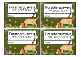 Vorschau - Stationenlernen - Forscherausweise Walddetektiv*innen - Seite 3