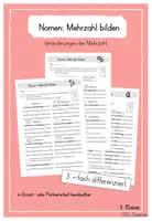 Vorschau - Arbeitsblätter - Nomen: Mehrzahl bilden - Veränderungen der Endungen - Deckblatt