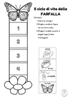 anteprima - Materiale interattivo - La metamorfosi -Il ciclo di vita della farfalla - Pagina 2