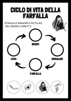 anteprima - Materiale interattivo - La metamorfosi -Il ciclo di vita della farfalla - Pagina 3