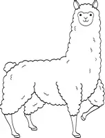 anteprima - Clipart / Immagini originali - Avventura animale | 26 clipart animali | B&N - Pagina 3