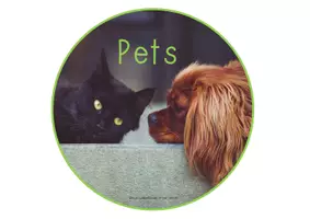 Vorschau - Anderer Materialtyp - Pets Legekreis - Seite 1