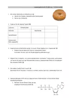 Vorschau - Test - Leistungskontrolle Kohlenhydrate - Seite 2