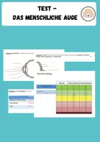 Vorschau - Test - Test - das menschliche Auge - Deckblatt