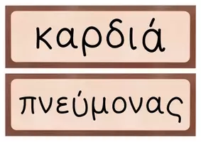 Προεπισκόπηση - Flashcards - όργανα Κάρτες εικόνων - επιτραπέζιο υλικό & κάρτες κειμένου για το ανθρώπινο σώμα και τα όργανα - Σελίδα 3