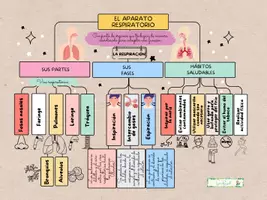 Vista previa - Hojas de trabajo - Esquema sobre aparato respiratorio - Portada