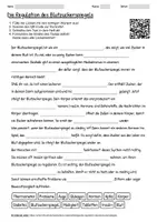 Vorschau - Arbeitsblätter - Arbeitsblatt "Die Regulation des Blutzuckerspiegels" + interaktive Lösung & MP3 + Mindmap + Infografik - Deckblatt