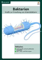Vorschau - Präsentationen/Tafelbilder - Grafiken Biologie - wachsendes Materialpaket - Seite 1