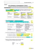 Vorschau - Arbeitsblätter - PROTOKOLL -III- Gruppenreaktionen - Seite 1