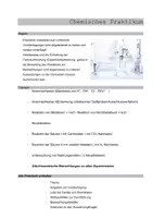 Vorschau - Arbeitsblätter - Organisation Praktikum - Deckblatt