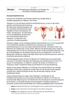 Vorschau - Arbeitsblätter - Geschlechtshormone 9. Klasse Testosteron/ Östrogen - Deckblatt