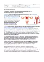 Vorschau - Arbeitsblätter - Geschlechtshormone 9. Klasse Testosteron/ Östrogen - Seite 2
