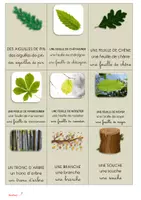 Aperçu - Jeux - Activités pédagogiques autour de l'automne - Page 3