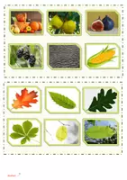 Aperçu - Jeux - Ressources pédagogiques autour de l'automne - Page 3