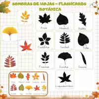 Vista previa - Refuerzo / NEE / Materiales de apoyo - Une las sombras - Sombras de hojas con nombre - Portada
