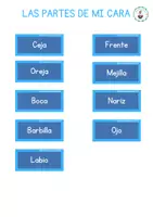 Vista previa - Hojas de trabajo - Pack materiales: El cuerpo humano - página 3