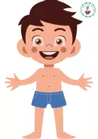 Vista previa - Tarjetas / Manipulativos - Construyendo el interior de mi cuerpo - página 3