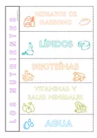 Vista previa - Hojas de trabajo - LA NUTRICIÓN -LIBRETA INTERACTIVA - página 3