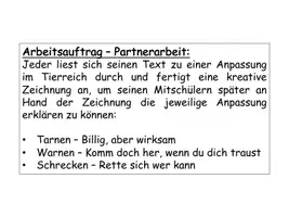 Vorschau - Stundenentwürfe - Folgen von Evolution - Kreative Unterrichtsstunde / Unterrichtsmaterial Selektion - Seite 1