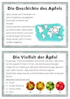 Vorschau - Unterrichtsreihen - Der Apfel - Wissenskartei - digital & zum Ausdrucken - Seite 3