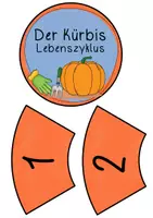Vorschau - Arbeitsblätter - Legekreis Kürbis - Lebenszyklus - Seite 3