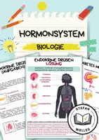 Vorschau - Arbeitsblätter - Hormonsystem des Menschen - Biologie - 8. Schulstufe - Deckblatt