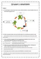 Vorschau - Stundenentwürfe - Evolution - Vom Wasser ans Land - Seite 3