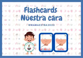 Vista previa - Tarjetas / Manipulativos - FLASHCARDS NUESTRA CARA - página 1