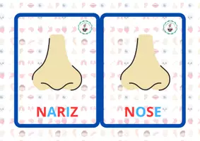 Vista previa - Tarjetas / Manipulativos - FLASHCARDS NUESTRA CARA - página 3