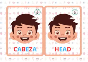 Vista previa - Tarjetas / Manipulativos - FLASHCARDS NUESTRO CUERPO EN EL EXTERIOR - página 2