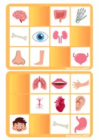 Vista previa - Juegos / Gamificación - Bingo el cuerpo humano - página 2