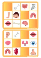 Vista previa - Juegos / Gamificación - Bingo el cuerpo humano - página 3