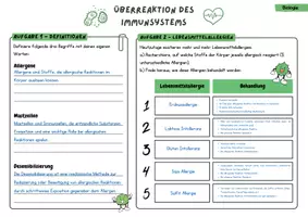Vorschau - Stundenentwürfe - Allergie, Allergen | Überreaktion Immunsystem, Immunbiologie, Allergien - Seite 3