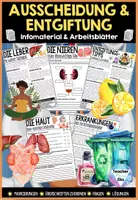 Vorschau - Unterrichtsreihen - Ausscheidung & Entgiftung - Infomaterial & Arbeitsblätter | Leber - Nieren - Haut - Entgiftungstipps - Erkrankungen - Deckblatt