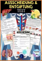 Vorschau - Arbeitsblätter - Ausscheidung und Entgiftung Test | Quiz & Arbeitsblätter - Differenzierte Herangehensweise - Deckblatt