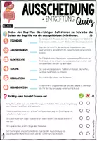Vorschau - Arbeitsblätter - Ausscheidung und Entgiftung Test | Quiz & Arbeitsblätter - Differenzierte Herangehensweise - Seite 2