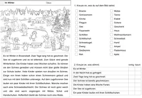 Vorschau - Arbeitsblätter - Leseverständnis | Leseverstehen | Textverständnis | Lesen und verstehen | Winter | differenziert - Seite 1
