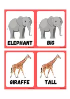 Vorschau - Spiele - Dear Zoo: domino, remember, bingo - Seite 2