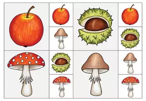 Vorschau - Fördermaterial/Inklusion - Klammerkarten Bilderzuordnung Herbst - Seite 2