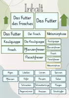 Vorschau - Stundenentwürfe - Tafelbild: Der Frosch & sein Futter - Seite 1