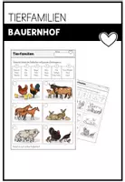 Vorschau - Arbeitsblätter - Tiere am Bauernhof - Milch - Schwein - Bauernhofprodukte - Seite 1
