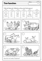Vorschau - Arbeitsblätter - Tiere am Bauernhof - Milch - Schwein - Bauernhofprodukte - Seite 3