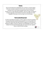 Vorschau - Arbeitsblätter - Materialpaket Merkblätter zu Deutschaufsätzen - Seite 3